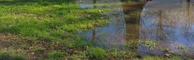 Yard drainage solutions